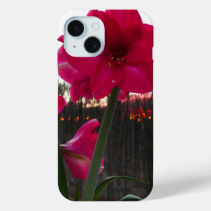 Coque Pour iPhone 15 Red Amaryllis et le lever du soleil d'hiver