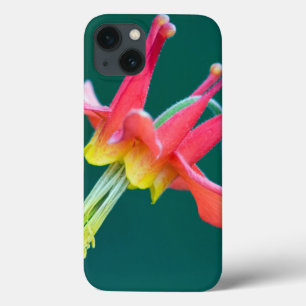 iPhone 13 Case Red Columbine