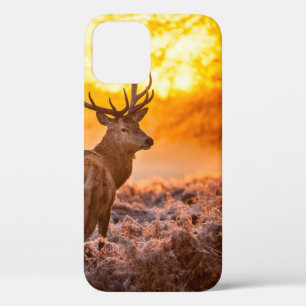 Case-Mate iPhone Case Red Deer in Morning Sun, cerf, animal, faune, natu