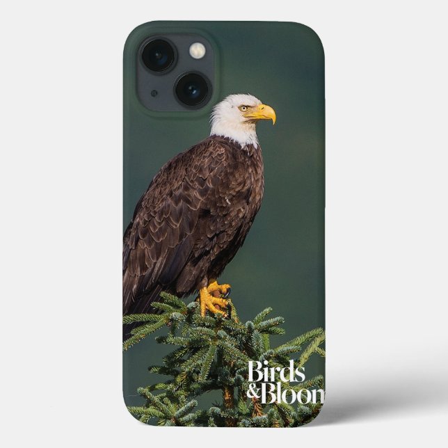 Coques Case-Mate iPhone Regal Bald Eagle (Verso)