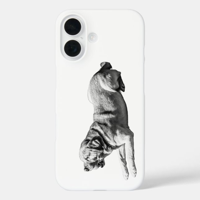 Coques Case-Mate iPhone Regard stable - Labrador Poise (Verso)