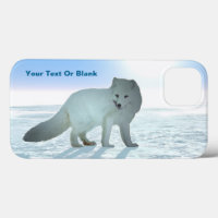 Renard arctique