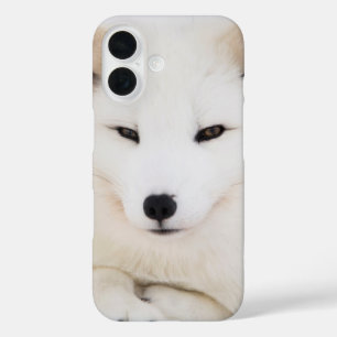 Coques iPhone 16 Renard blanc arctique