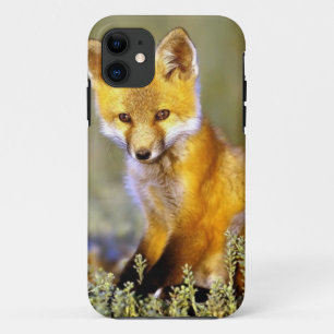 Case-Mate iPhone Case renard rouge de petit bébé mignon