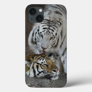 iPhone 13 Coque Repos blanc et Brown de tigres