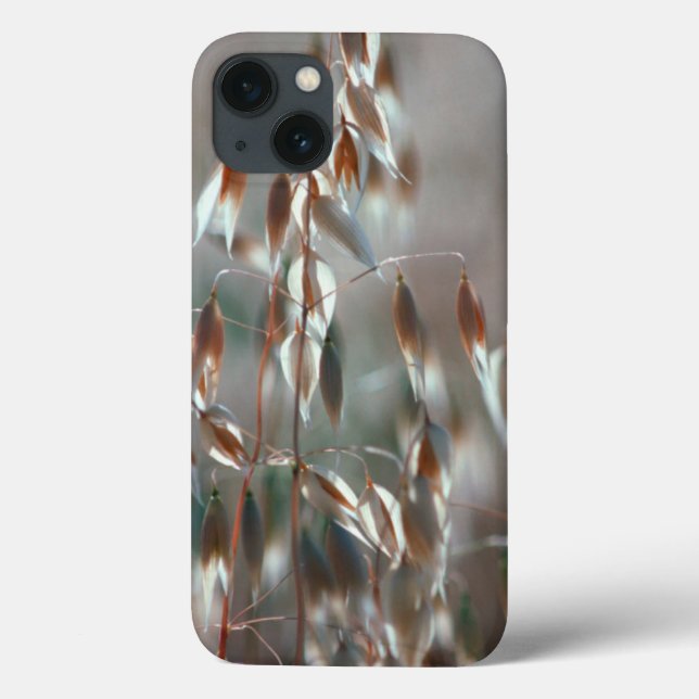 Coques Case-Mate iPhone Ripe Oats Ceres, Boland (Verso)