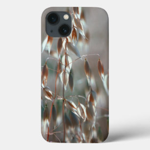 iPhone 13 Case Ripe Oats Ceres, Boland