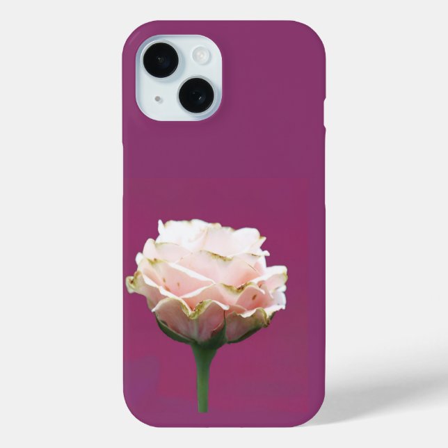 Coques Case-Mate iPhone Rose en floraison simple sur Magenta (Verso)