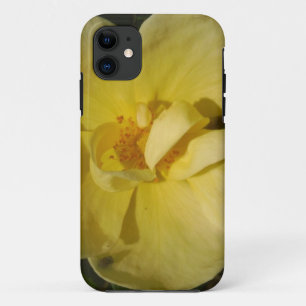 Coque iPhone 11 Rose jaune sauvage