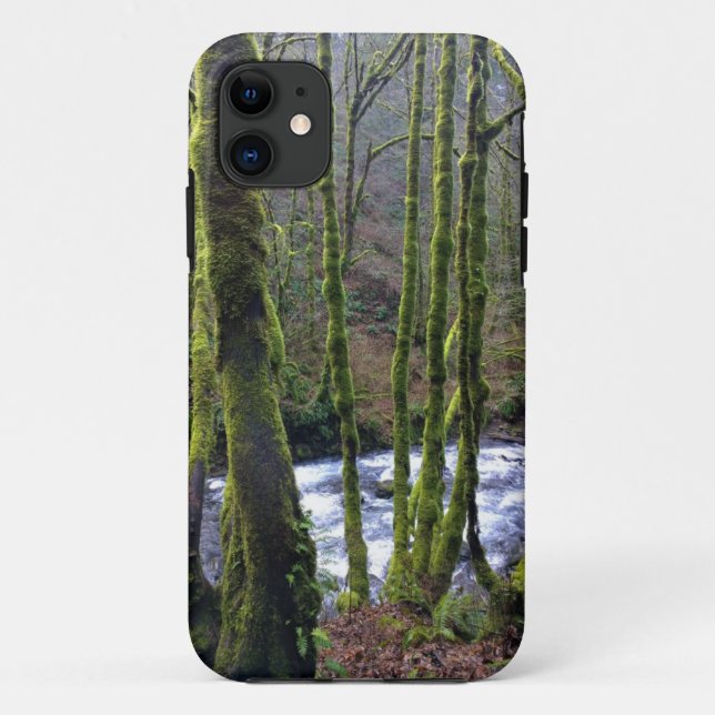 Coques Case-Mate iPhone Runoff from Bridal Veil Falls (Dos)