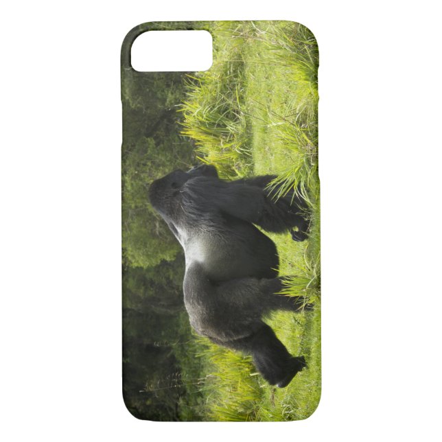 Coques Case-Mate iPhone Rwanda, Parc national des volcans (Dos)