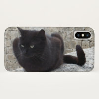 Sacs de téléphone pour chat noir
