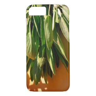 Case-Mate iPhone Case Sage frais coupé