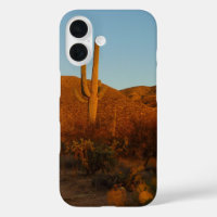 Saguaro Sunset I Arizona Désert Paysage