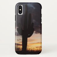 Saguaro Sunset III Arizona Desert Paysage