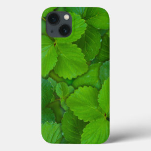 Coques Pour iPhone Saint Basil Tulsi Green Mint Feuilles