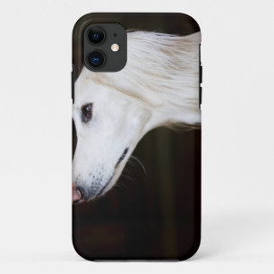 Coque Case-Mate Pour iPhone Saluki recherchant