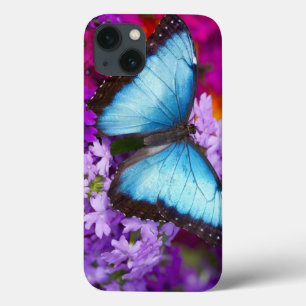 iPhone 13 Case Sammamish Washington Papillon Tropical