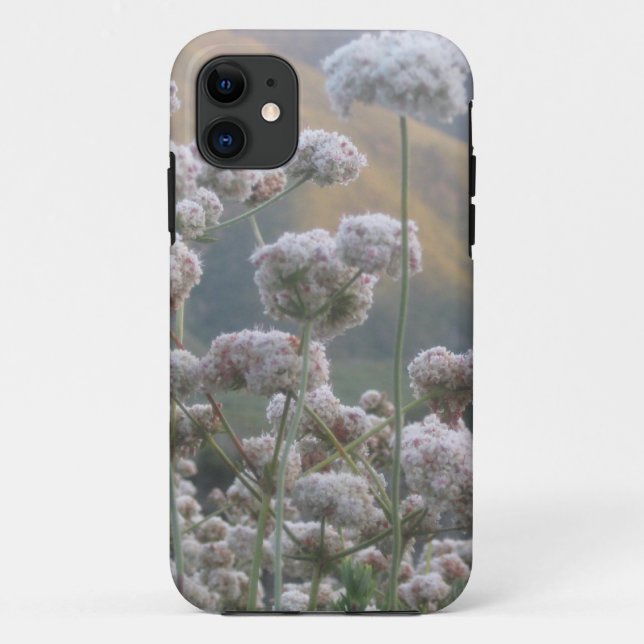 Coques Case-Mate iPhone Sarrasin de Californie (Dos)