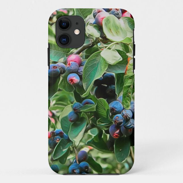 Coques Case-Mate iPhone Saskatoon (Dos)