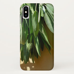 Case-Mate iPhone Case Sauge fraîchement coupée