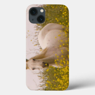 iPhone 13 Case Saut