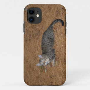 Etui iPhone Case-Mate Savannah Cat iPhone 5