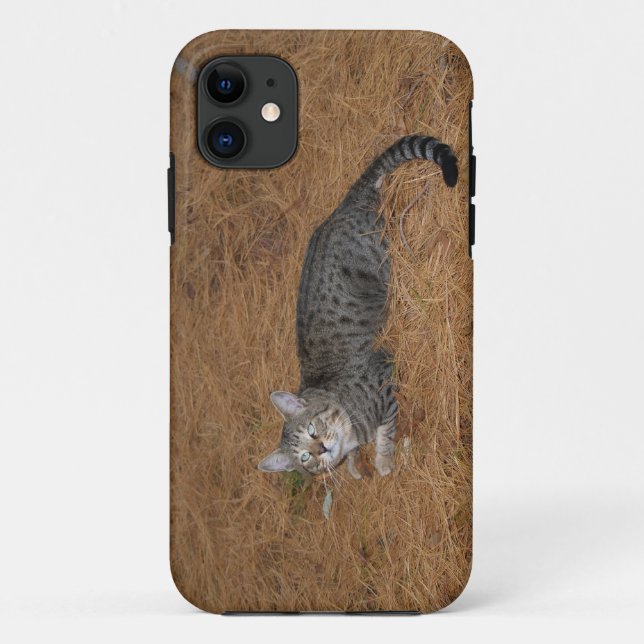Coques Case-Mate iPhone Savannah Cat iPhone 5 (Dos)