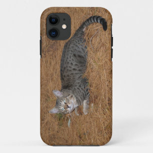 Case-Mate iPhone Case Savannah Cat iPhone 5