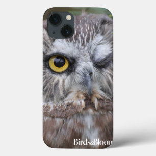 Etui iPhone Case-Mate Saw-whet Owl