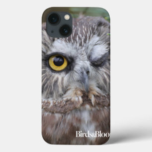 iPhone 13 Coque Saw-whet Owl