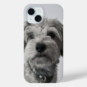 Coque Pour iPhone 15 Schnauzer Puppy