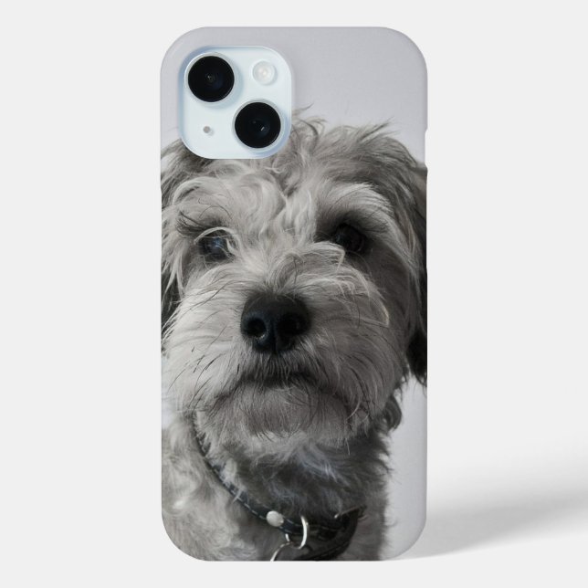 Coques Case-Mate iPhone Schnauzer Puppy (Verso)