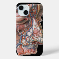 Science vintage Anatomie humaine, Visage avec nez
