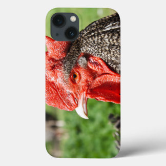iPhone 13 Case Scots Grey Rooster Photographie
