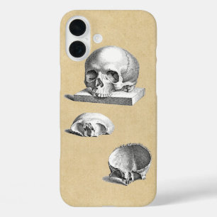 Coques iPhone 16 Plus Section de l'anatomie du crâne humain