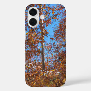 COQUES iPhone 16  SEDONA SEASONING