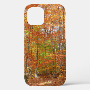 Case-Mate iPhone Case Sentier de l'automne de la lumière du soleil au pa