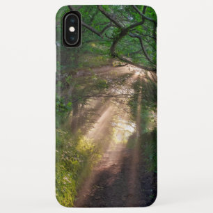 Case-Mate iPhone Case sentier forestier