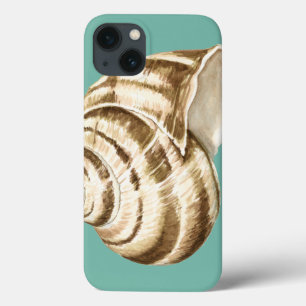 Coques Pour iPhone Sépia Shell rayé sur Teal