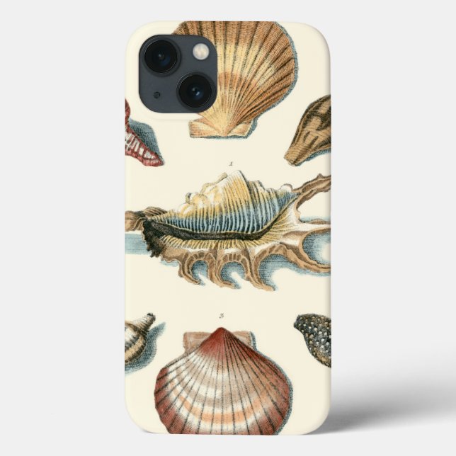 Coques Case-Mate iPhone Shell de fantaisie échouent (Verso)