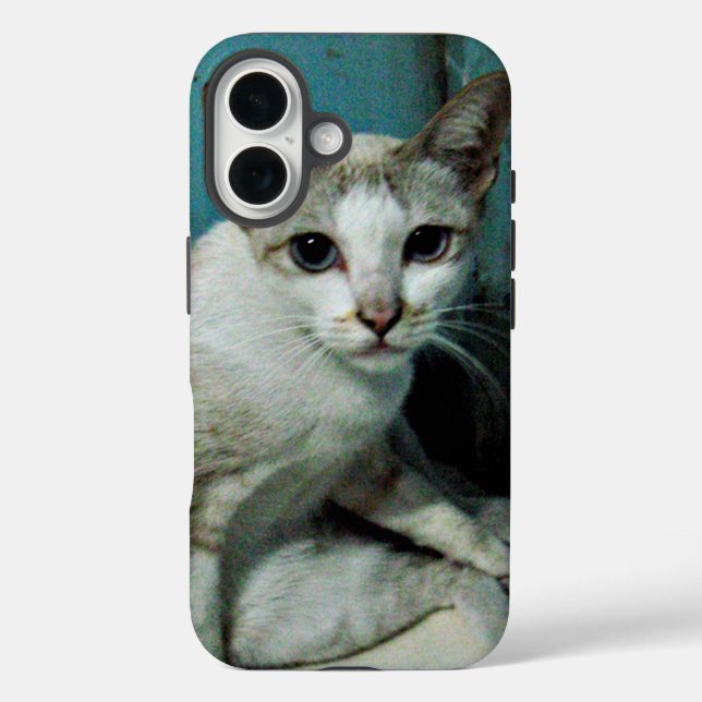 Coques Case-Mate iPhone Siamese Chat Friend (Verso)