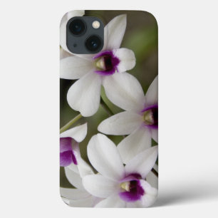 Case-Mate iPhone Case Singapour (sanscrit pour Ville Lion). National 2