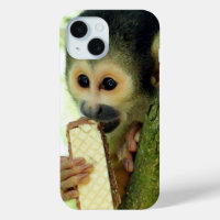 Singe écureuil mangeant un biscuit wafer