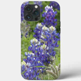 Case-Mate iPhone Case SJefferson Texas Bluebonnets Series #2