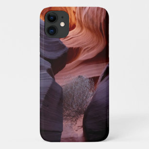 Coque Case-Mate Pour iPhone Slot Canyon Tumbleweed Southwest Abstract 