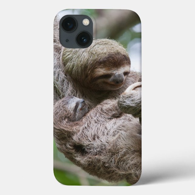 Coques Case-Mate iPhone Sloth Baby avec mère pendre d'un arbre (Verso)