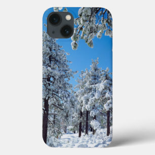 iPhone 13 Coque Snow-covered trees in the Laguna Mountains