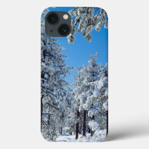 Case-Mate iPhone Case Snow-covered trees in the Laguna Mountains