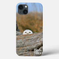 Snowy owl